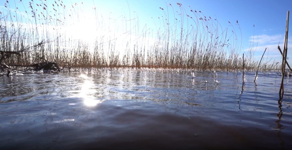 Lake water with sun shine