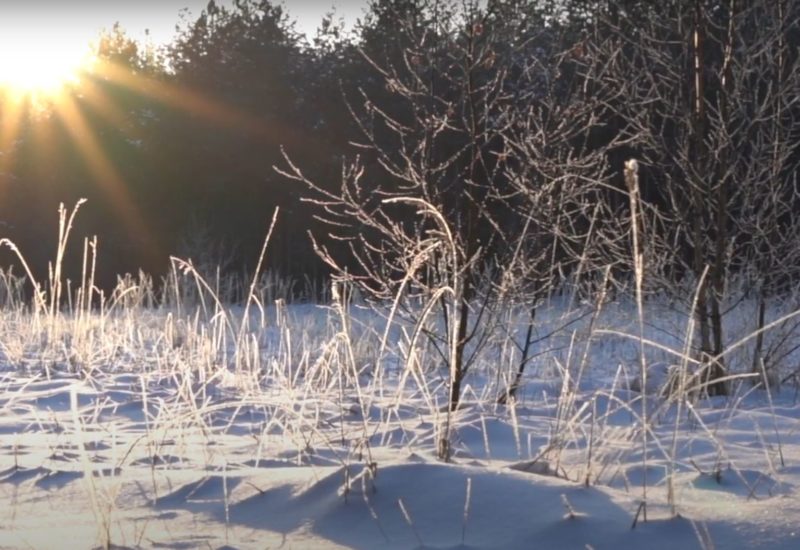 mind relaxing snowflake with sunrise